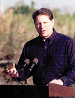 Photo of Vice President Al Gore