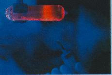 [Photo of purified DNA fluorescing orange under UV light]