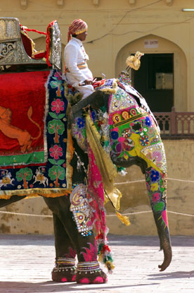 A colorful elephant at the Amber Fort.