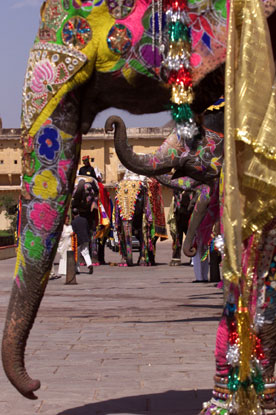 Colorful elephants form a cordon at the Amber Fort, outside Jaipur, India.