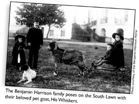The Benjamin Harrison family poses on the South Lawn with their beloved pet goat, His Whiskers.