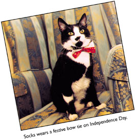 Socks wears a festive bow tie on Independence Day.